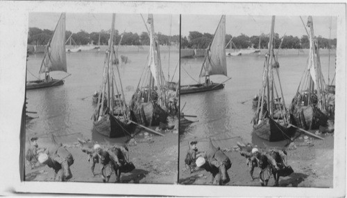 Water carriers on the Nile. Bulak. Egypt