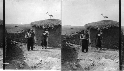 Adobe Houses in Mesapotamia. Storks