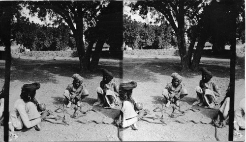 Indian Snake Charmers. India