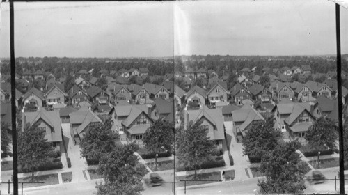 Houses Surrounding John Hay Public Schools, Chicago, Ill