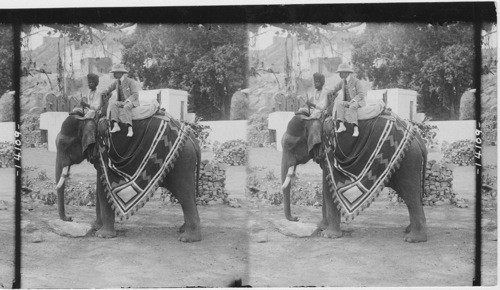 The popular conveyance in India, our artist H.G. Ponting. F.R.G.S., on his elephant, India