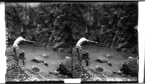 At the head of a river canyon. Island of Luzon, P.I