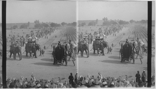 Rehearsal of Durbar (Elephant Procession) Delhi, India