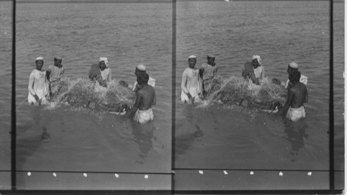 Bathing a dead body in the Sacred River of Jumma before burning, India