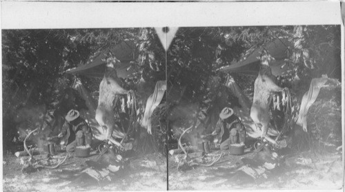 A Hunter's Winter Camp in the Mountains of Montana. [One man cooking with a deer hanging from the nearby tree and a deer skull with antlers in front of him.]