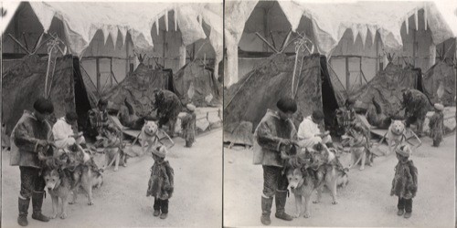 Eskimo and Dogs. St. Louis World's Fair, Missouri