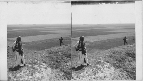 South from Quin of Sargon’s Fortress (Khor-sabad) over Plain to Site of Nineveh, Mesopotamia