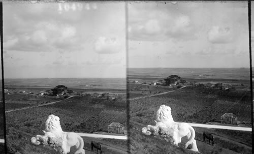 View of sugar estates from top of Gun Hill, showing Lion Statues. Barbados