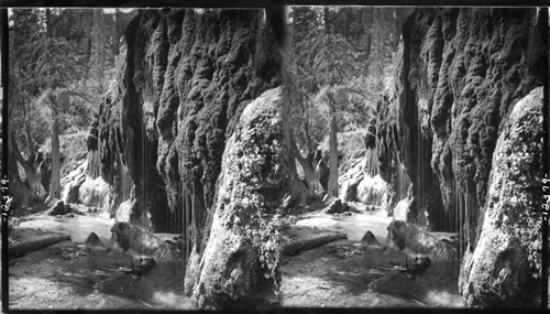 Overflow Hanging Lake, dripping over its moss covered banks, Canon (Canyon) of the Grand. Colo