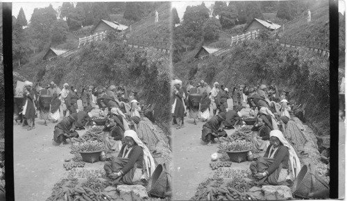 Nepalese vegetable sellers - Darjeeling, India