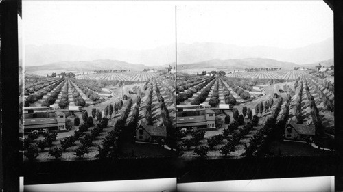 California Exhibit, Century of Progress, 1933. [Painting of California Hills with groves of trees and agriculture.]