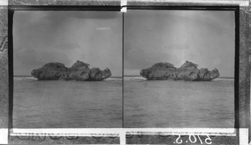 Coral Island Off Erota Point, P.I