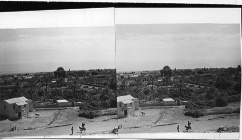 Modern Jericho from top of ancient site (Telles-Sultan, showing palms, bananas and orange trees. Main spring in left foreground) Looking East South East to hills of Moab and plain of Jordan