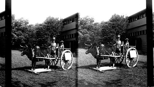 The Red River Cart, World's Columbian Exposition