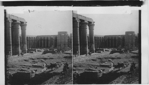 The most beautiful colonnade in Egypt - Sacross, Temple court at Luxor Thebes, Egypt