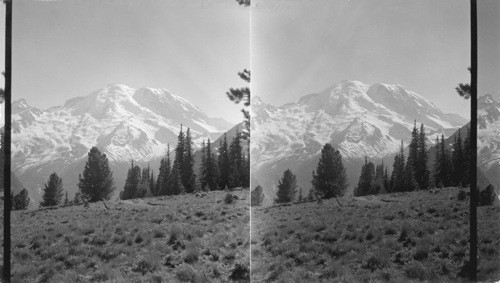 Mt. Rainier, Washington