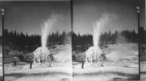 Lone Star Geyser in Eruption, its cone the most beautiful in color effects and formation in all the Yellowstone