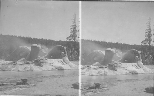 Grotto Geyser