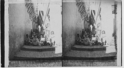 Group of children in narrow street. City of Algiers, Algeria