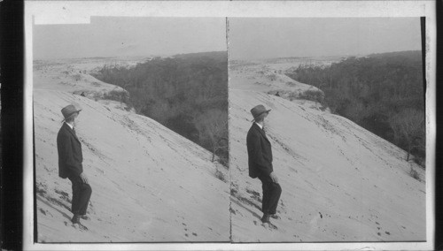 Sand Dunes. Virginia