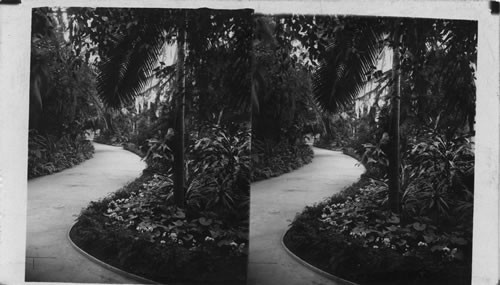 Workman Rough-surfacing Granite, Cape Ann, Mass. The Realm of Eternal Spring, New Orleans, La