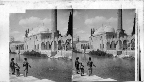 Mosque of Abraham and Pool of Sacred Fish, Urfa, Mesopotamia