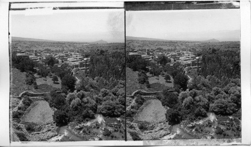 Down the Upper Jordan Valley from Caesarea Philippi. Asia. Syria?