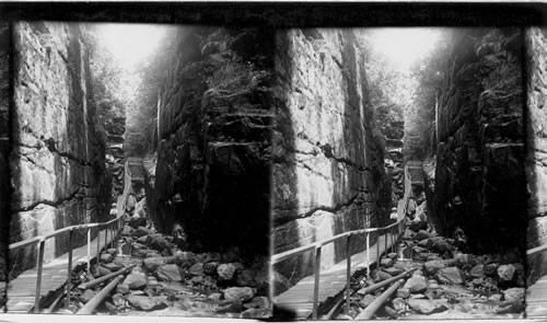 In the Rocky Gorge of the Flume, Franconia Notch, White Mts. N. H
