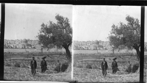 Jerusalem from the Mount of Olives, Palestine