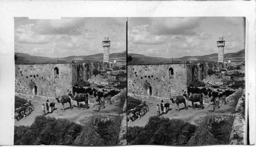 Church of St. John, Traditional Tomb of John the Baptist, Samarian Palestine