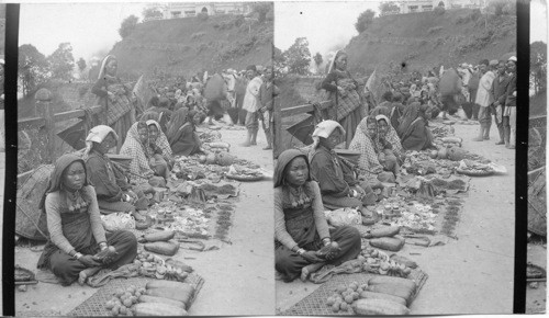 Market Scene (N.) Darjeeling. India