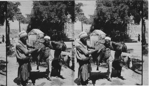 Water Carriers, Cairo, Egypt