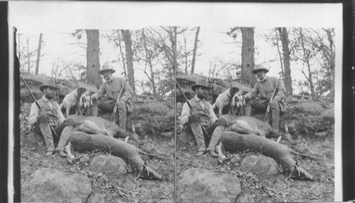 A fine pair - deer hunting in the Indian Territory