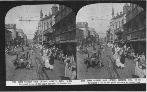 Inscribed in recto: 9119. UPPER CHITPORE ROAD, CHITPORE, CALCUTTA, INDIA. In the foreground is one of the quaint oxen-carts so common here