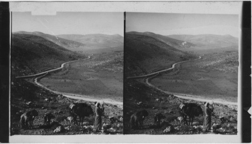 The Barley Vale Leading North-toward Shechem; Gerizim and Ebal Ahead