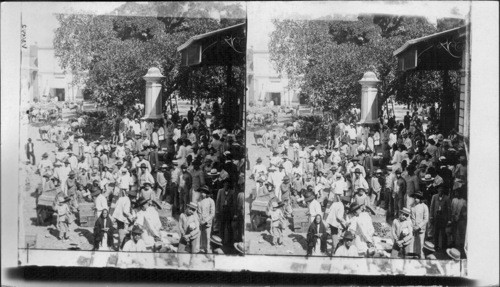 Typical view of the people of Caracas in the marketplace. Venezuela