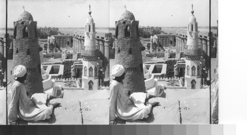 Deserted Temple of Luxor. s. w. from first pylon - Egypt. A hawk is seen flying over the Temple. These are numerous in all Egypt towns, and are the scavengers of the streets