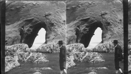 Elephant Rock, near Newport, Pacific Coast, Oregon