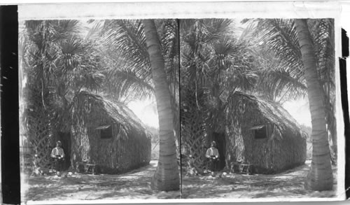 Thatched Cottage in Cocoanut Grove, Flordia, U.S.A