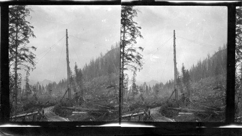 High rigger at work. Logging camp. New Westminister, B.C