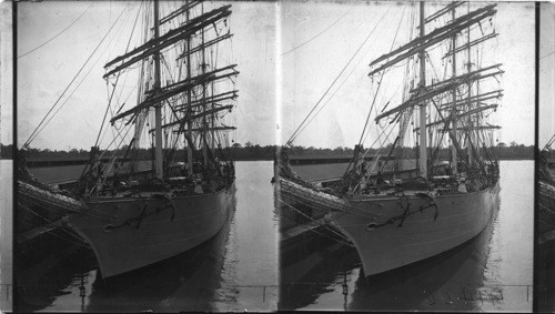 French Brig Loading with Cotton, Wilmington, N.C