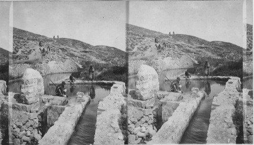 Fountain of Elisha - miraculously sweetened by the prophet - near Jericho. Palestine