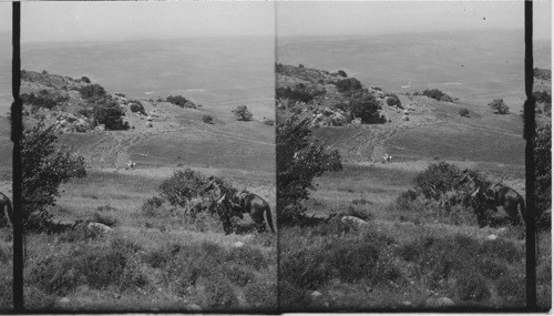 Mt Carmel - Elijah’s place of Sacrifice Palestine, Asia