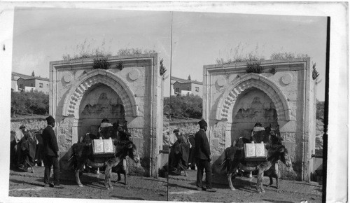 Fountain of Gihon on Temple Still Palestine