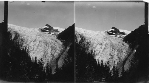 The Great Glacier of the Selkirks. Canada. Glacier