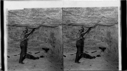 Powderman changing holes with dynamite sticks for blasting in rock salt mine. Kansas