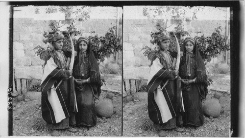 The Sword ceremony - (signifying the husbands authority) a wedding at Ramallah - Palestine