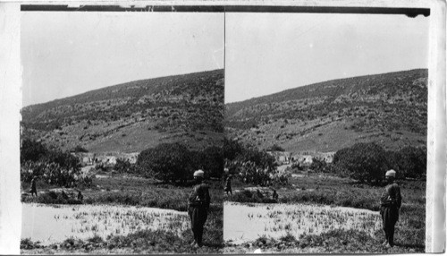 Ruins of Ancient Nain, Palestine