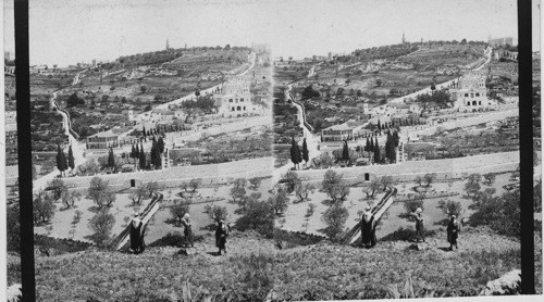 Garden of Gethsemane and Mount of Olives, from form Eastern wall - Jerusalem. Palestine