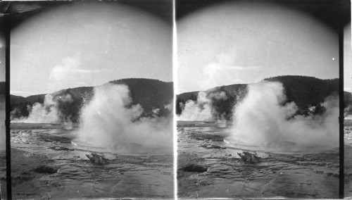 Jewel Geyser, Yellowstone Park